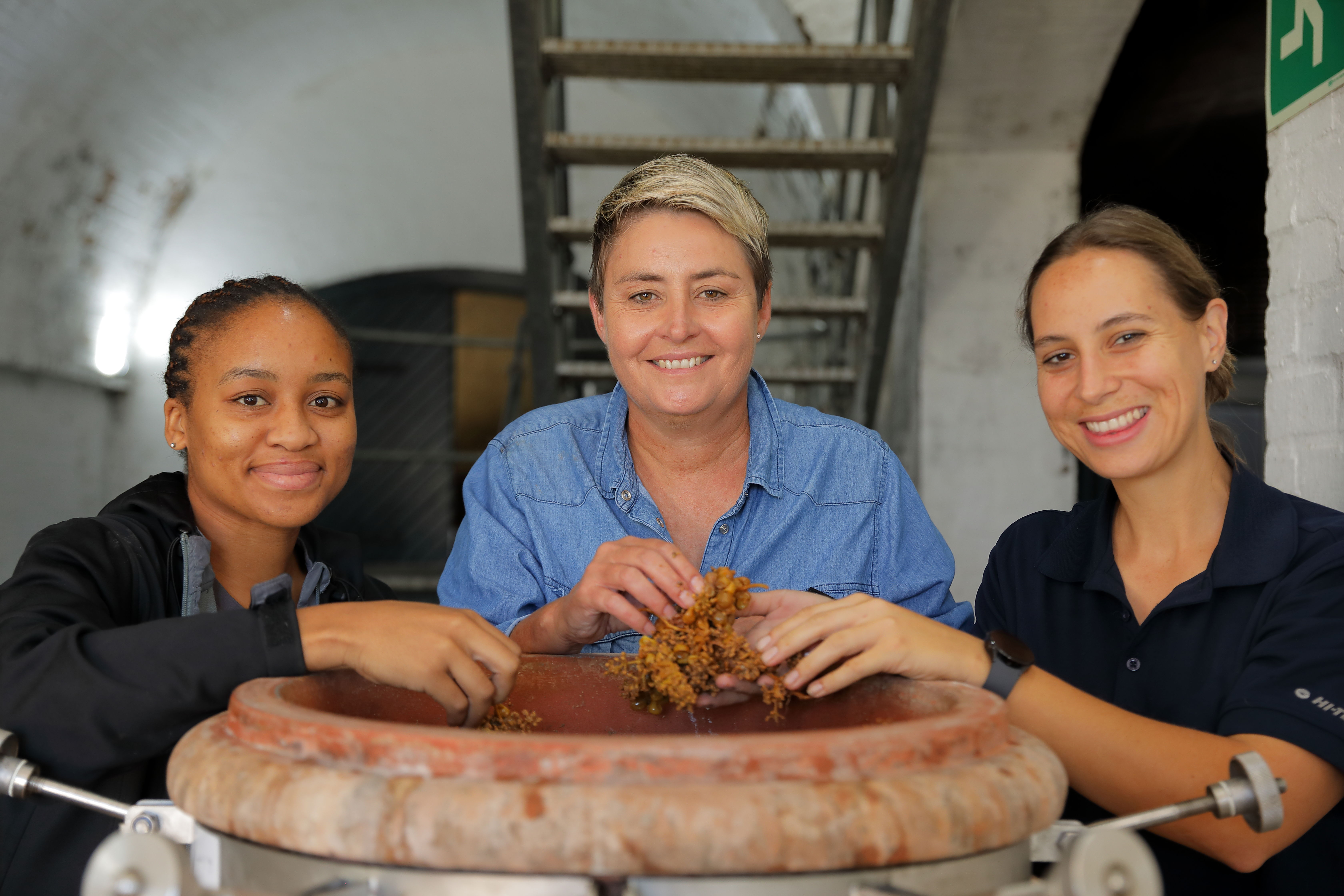 Of Art, Wine and Wonder: A Cultural Canvas in the Stellenbosch Winelands