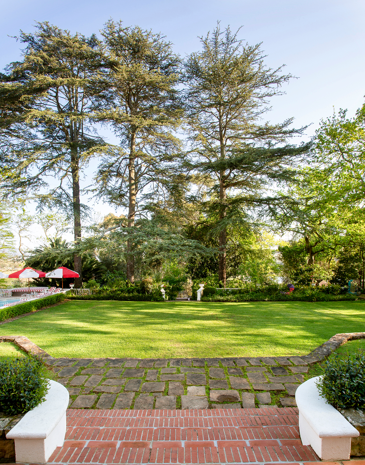 Le Jardin: our garden